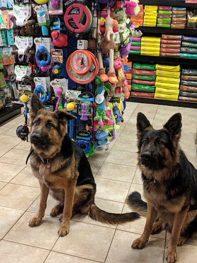 Pet Supply Store «Dawg City Inc.», reviews and photos, 38 Pearson St, Andover, MA 01810, USA