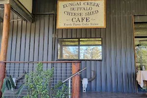 Eungai Creek Buffalo image