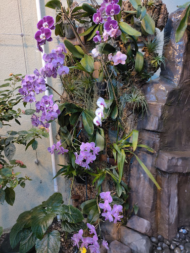 Science Museum «Connecticut Science Center», reviews and photos, 250 Columbus Blvd, Hartford, CT 06103, USA