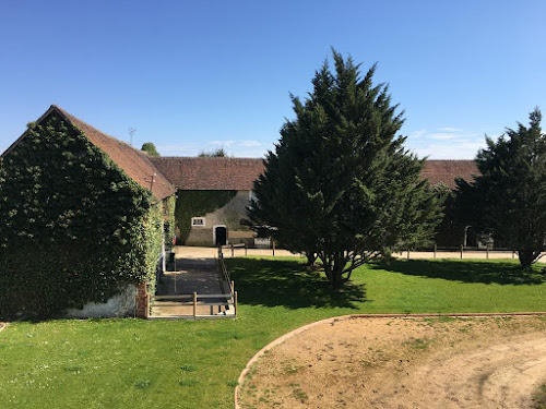 Haras de la Pelois - Centre Équestre - Sport Étude à Saint-Martin-des-Monts