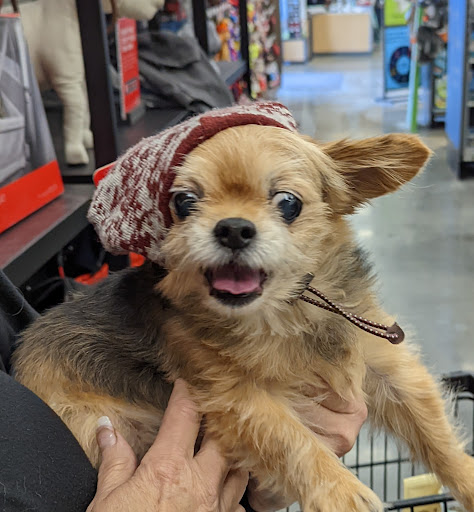Petco image