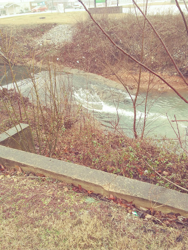 Pet Supply Store «All Pet & Equine Supply», reviews and photos, 1120 Porter Wagoner Blvd, West Plains, MO 65775, USA