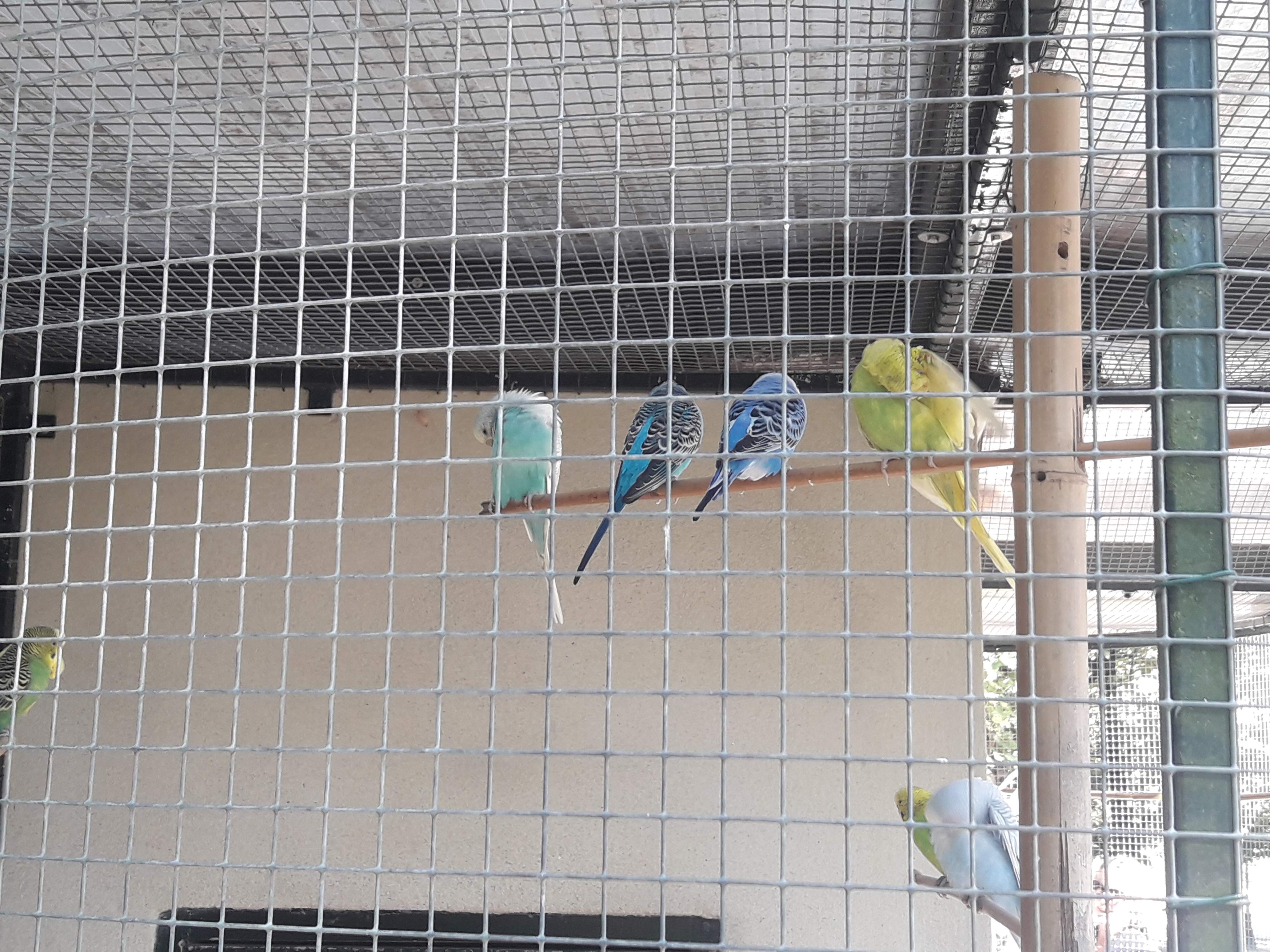 Photo n° 1 de l'avis de Remi. fait le 17/08/2018 à 18:45