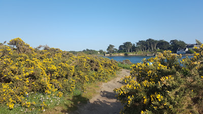 Bretagne Mer Santé (B.M.S.) à Étel