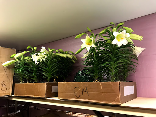 Florist «Cary Florist», reviews and photos, 100 Parkthrough St, Cary, NC 27511, USA