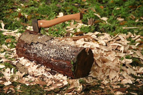  alt='Excellent reliable service. These are skilled tree cutters. They efficiently and safely cut down many 70 foot tall trees'