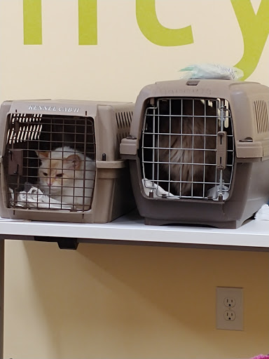 Pet Supply Store «PetPeople», reviews and photos, 3330 Washtenaw Ave, Ann Arbor, MI 48104, USA