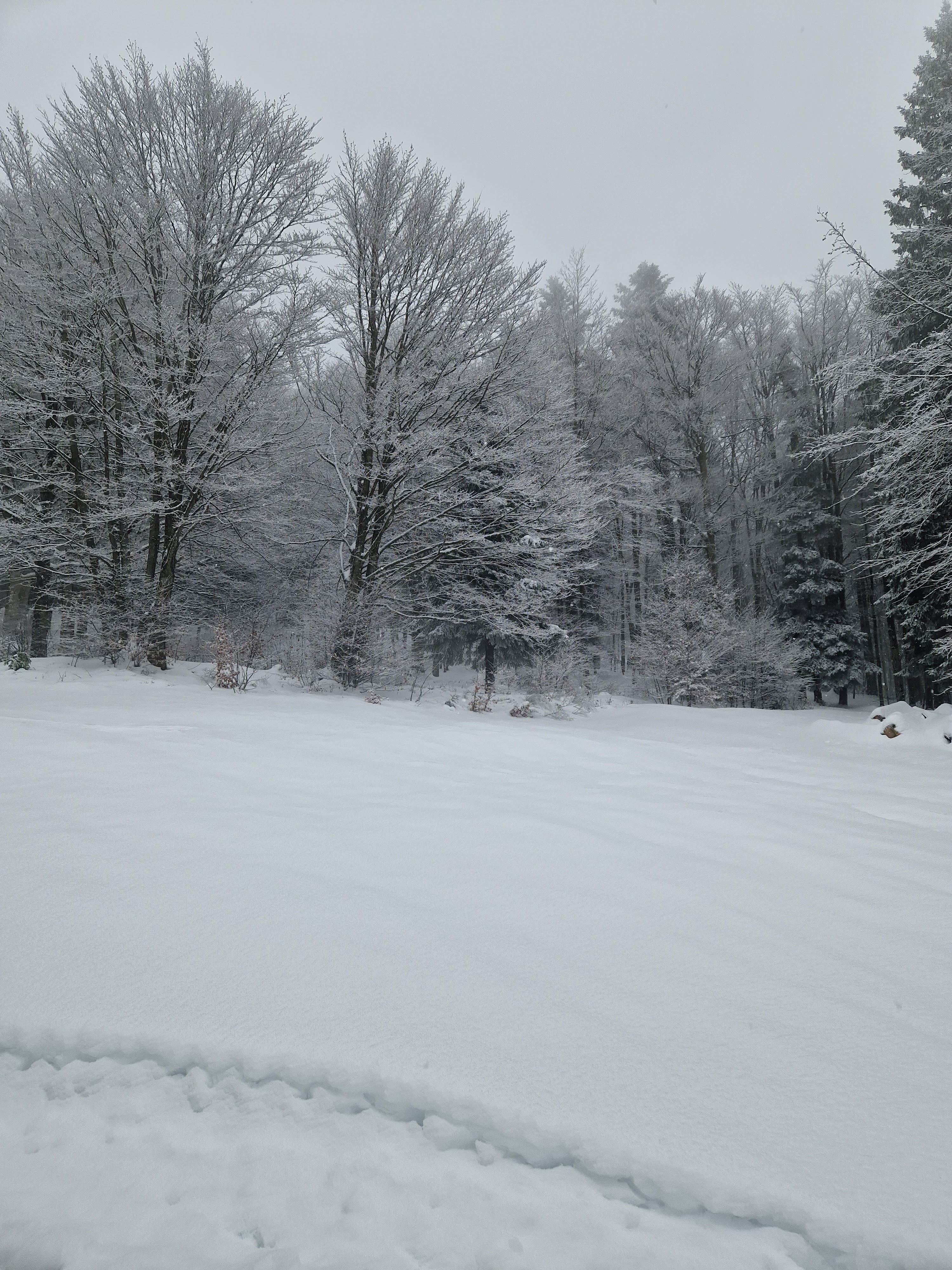 Photo n° 4 de l'avis de Charlene.a fait le 02/12/2023 à 16:43