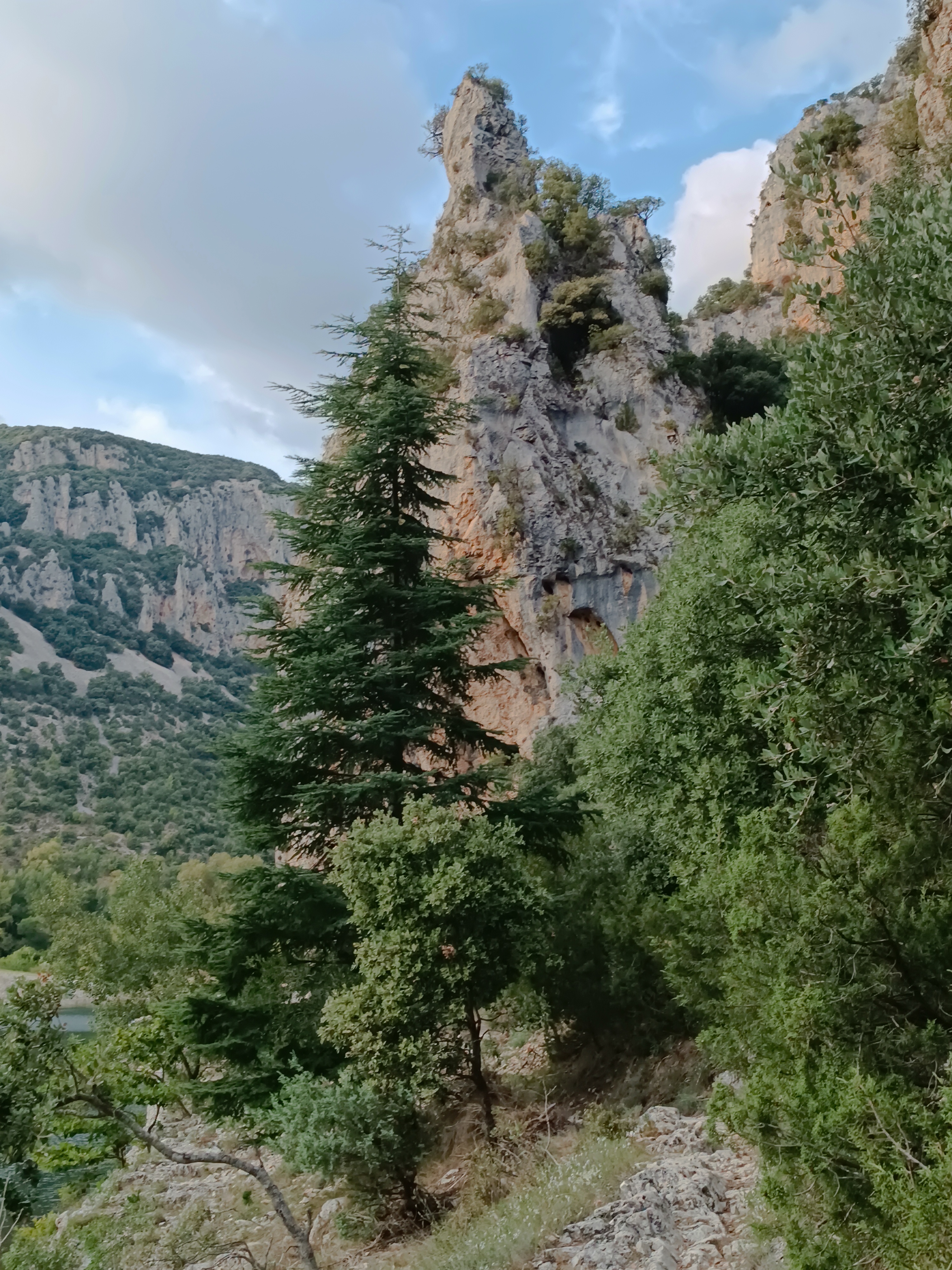 Photo n° 4 de l'avis de Vincent.I fait le 18/09/2023 à 15:45