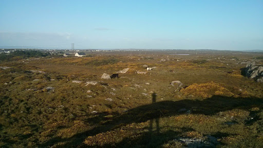 Cara Landscapes
