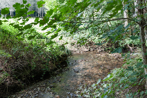 Le long du Ruisseau de Naidimont à Nouzonville