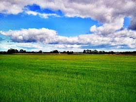 Clima Verde - Chile