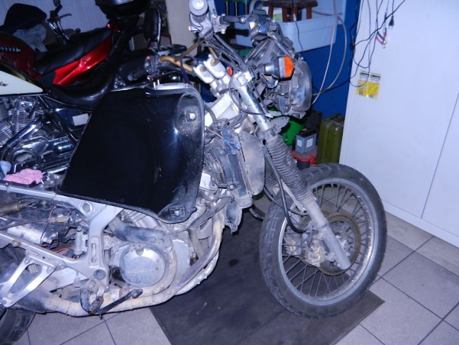 Serwis samochodowo-motocyklowy - Stajnia Mustangów