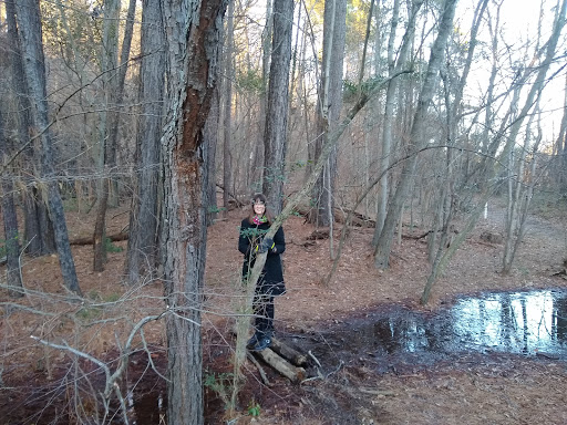 Concert Hall «Cobb Energy Performing Arts Centre», reviews and photos, 2800 Cobb Galleria Pkwy, Atlanta, GA 30339, USA