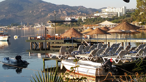 Peynir Çiçeği Pansiyonu