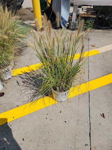 Home Improvement Store «The Home Depot», reviews and photos, 782 PA-113, Souderton, PA 18964, USA