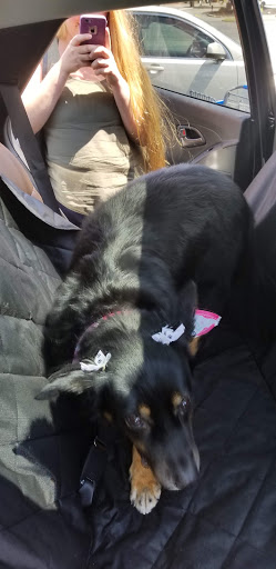 Pet Supply Store «PetSmart», reviews and photos, 5 Hampton House Rd, Newton, NJ 07860, USA