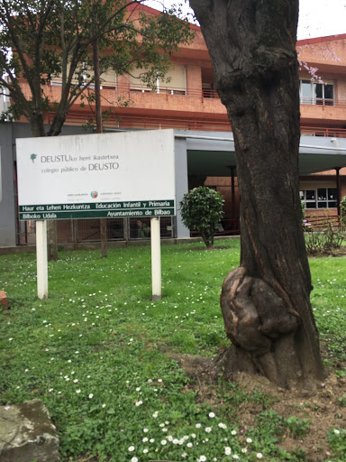 Colegio Público Deusto