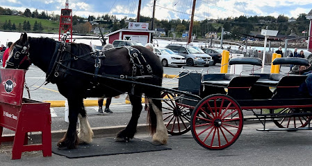 Trot in Time Carriage Tours