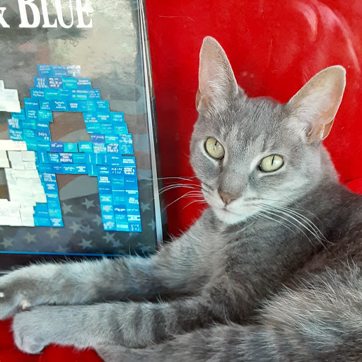 Book Store «Royal Oak Bookshop», reviews and photos, 207 S Royal Ave, Front Royal, VA 22630, USA