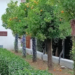 Photo n°9 de l'avis de Gioia.i fait le 26/09/2021 à 17:18 sur le  Villa Fania à Villa Caldari