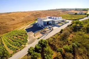 Vasilikon Winery Cyprus image