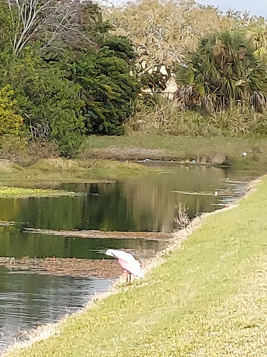 Convention Center «Bradenton Area Convention Center», reviews and photos, 1 Haben Blvd, Palmetto, FL 34221, USA