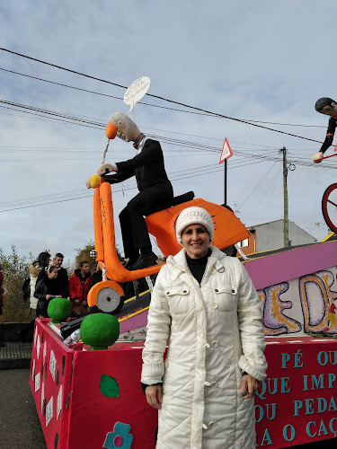 Carnaval de Vale de Ílhavo - Tondela