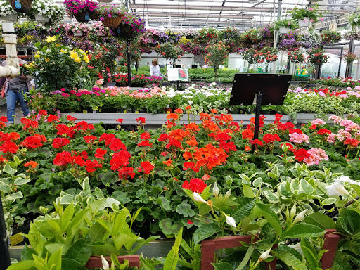 Garden Center «Dees Nursery & Florist», reviews and photos, 69 Atlantic Ave, Oceanside, NY 11572, USA