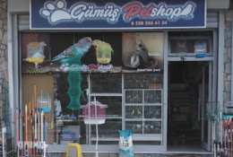 Gümüş balık av market ve petshop