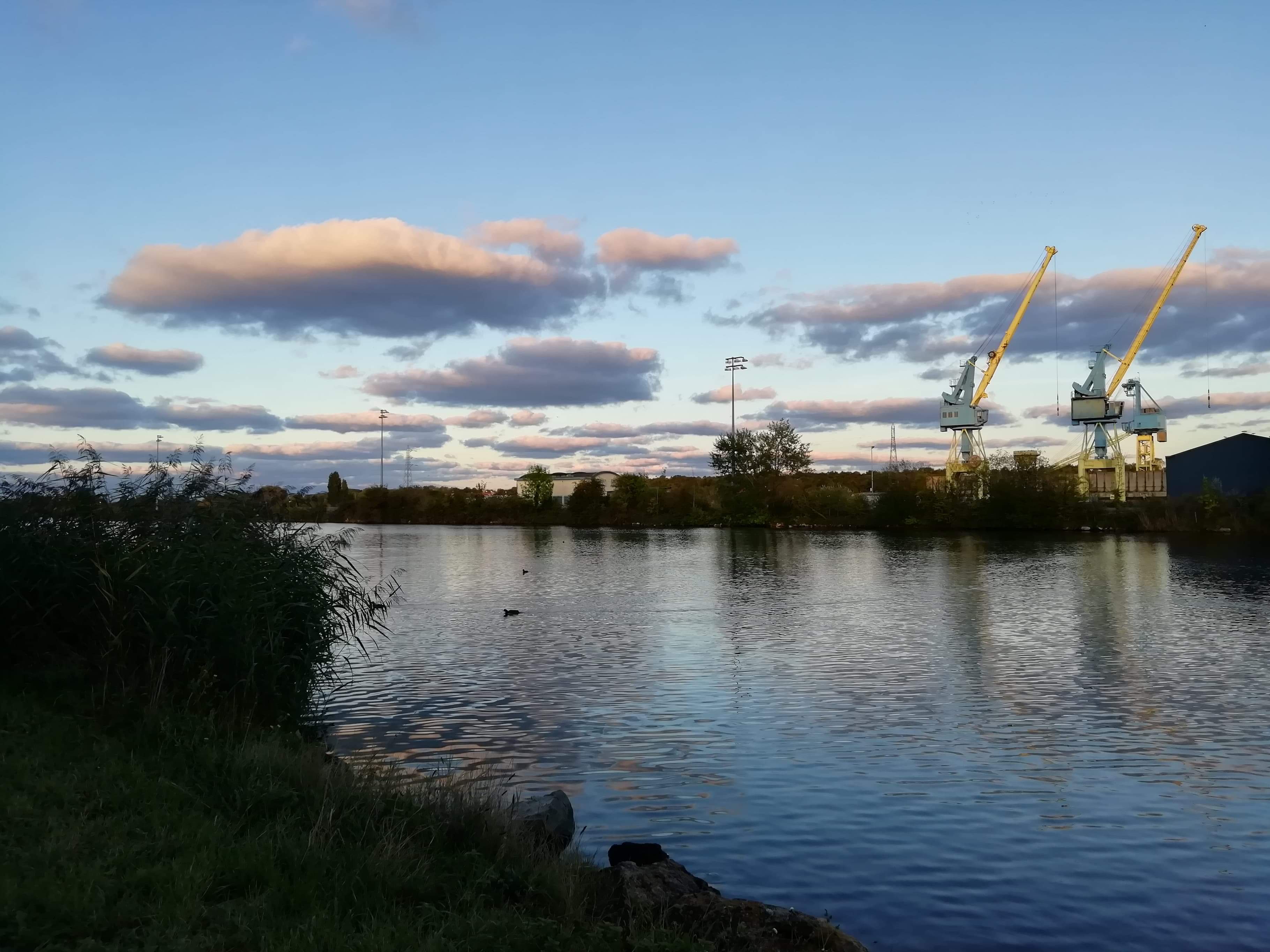 Photo n° 3 de l'avis de Luis.. fait le 16/03/2020 à 19:10