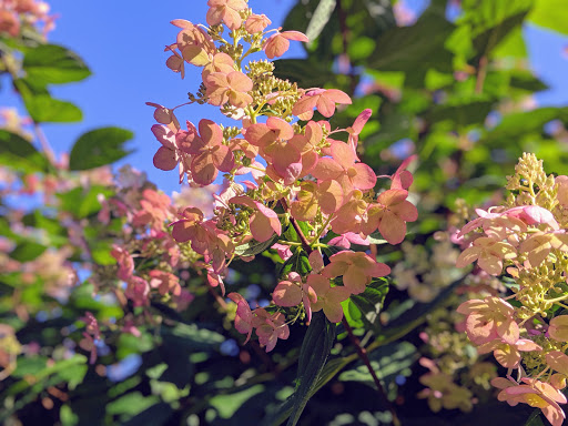 Winery «Sharpe Hill Vineyard», reviews and photos, 108 Wade Rd, Pomfret, CT 06258, USA