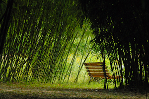 Le Parc aux Bambous image