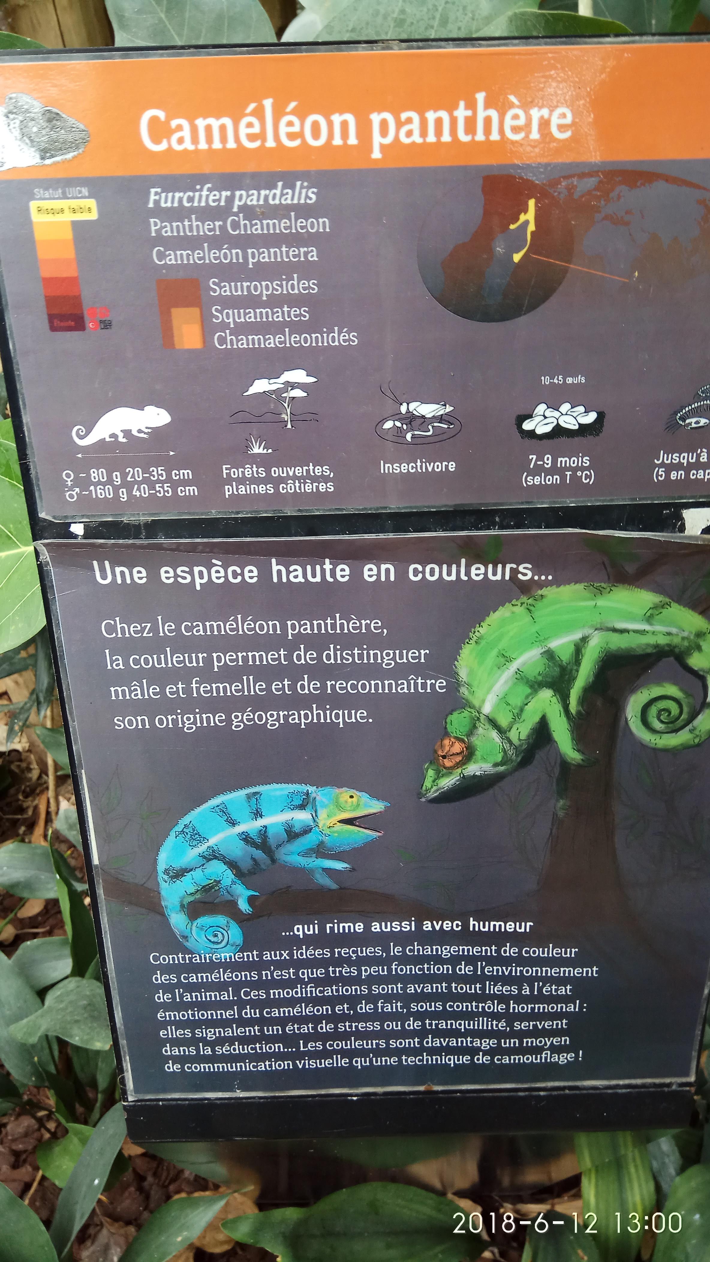 Photo n° 28 de l'avis de Swiss.e fait le 15/06/2018 à 19:24