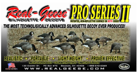 Real-Geese Decoys