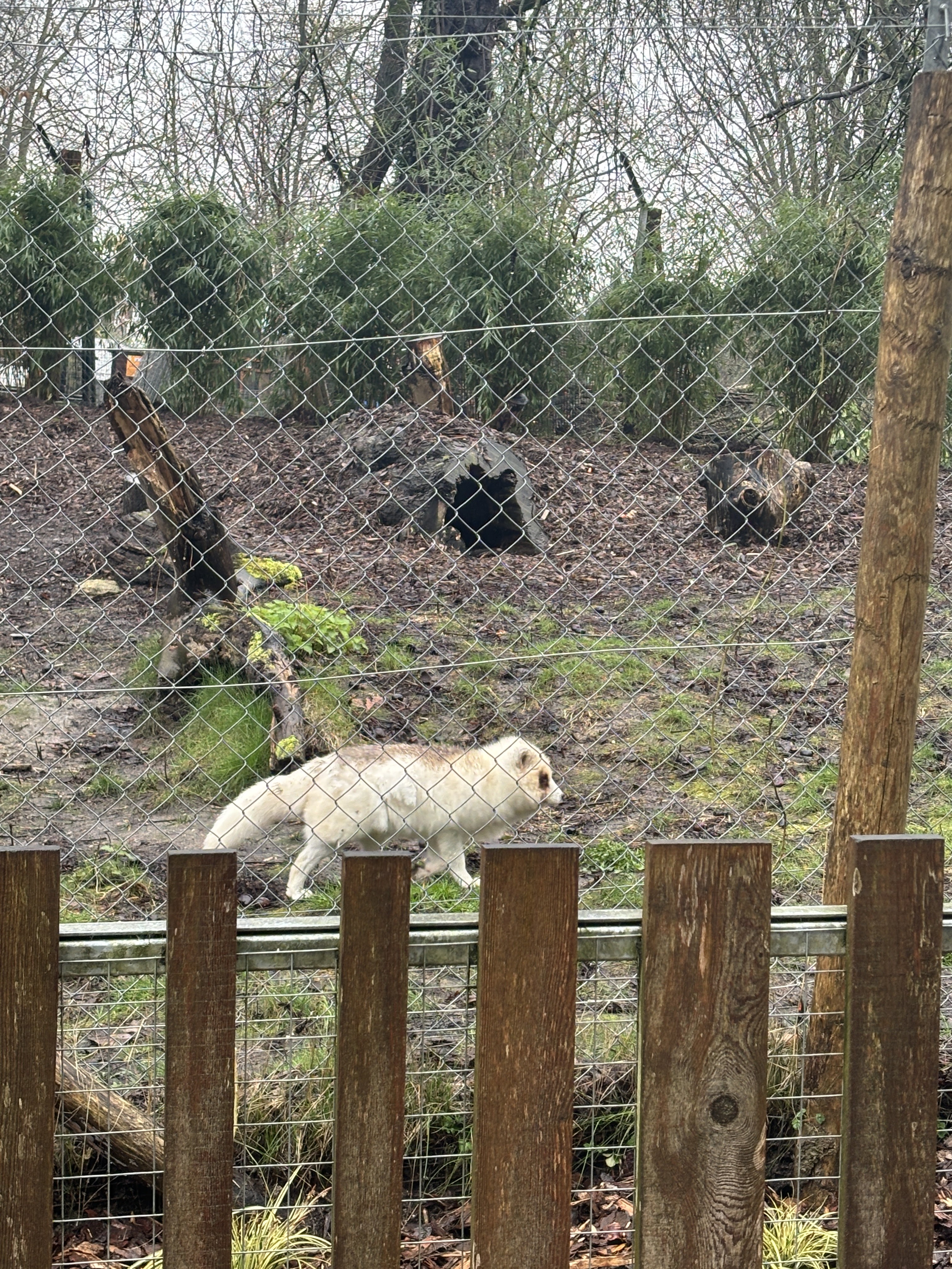 Photo n° 4 de l'avis de Eihposy. fait le 03/03/2024 à 20:54