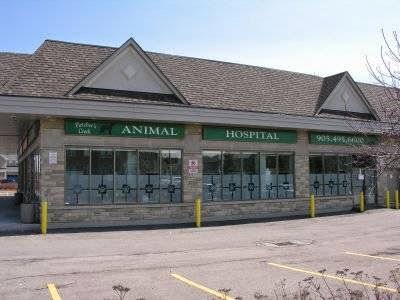 Fletcher's Creek Animal Hospital - Veterinarian in Brampton, Canada |  