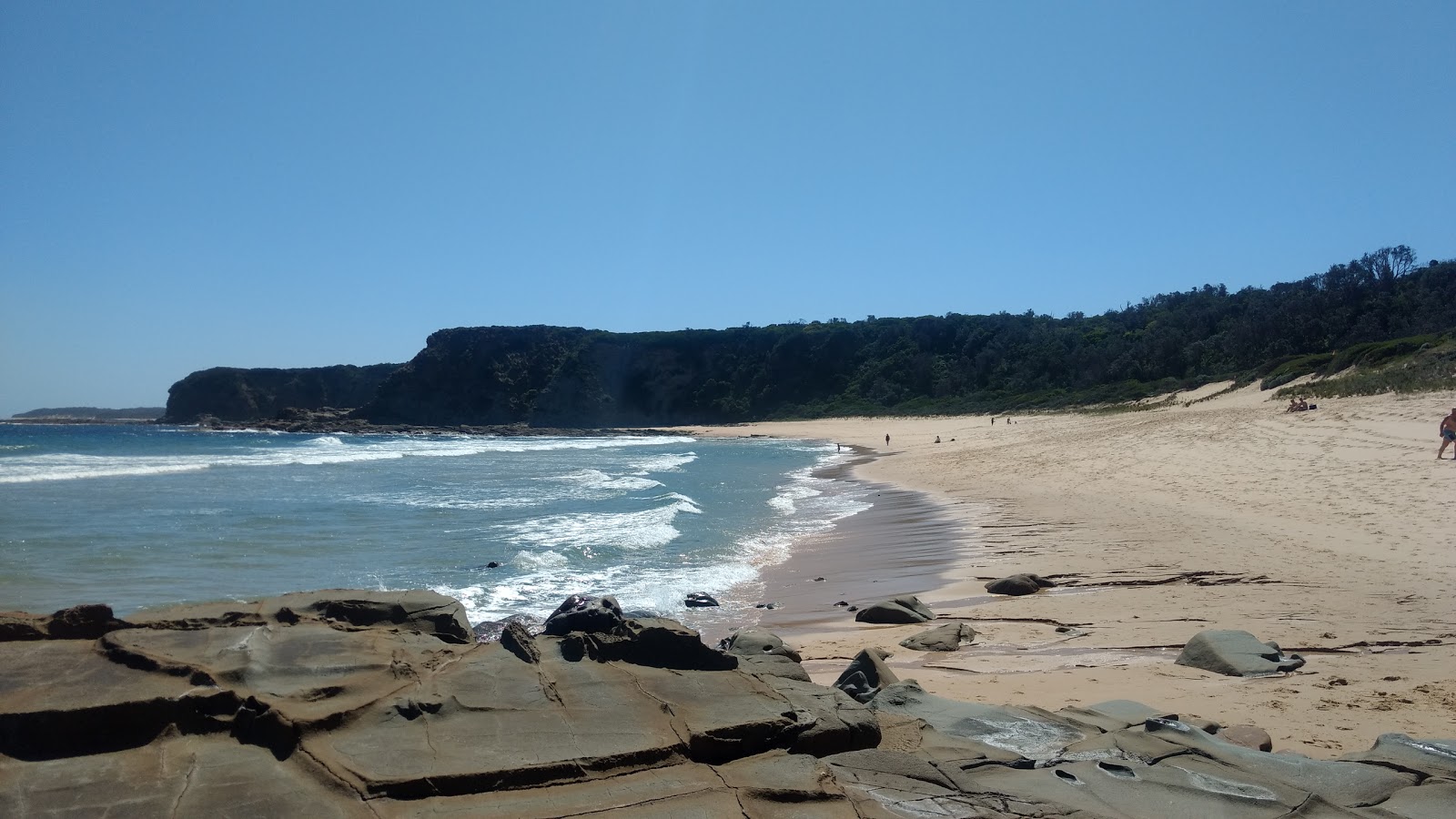Photo de The Oaks Beach zone sauvage