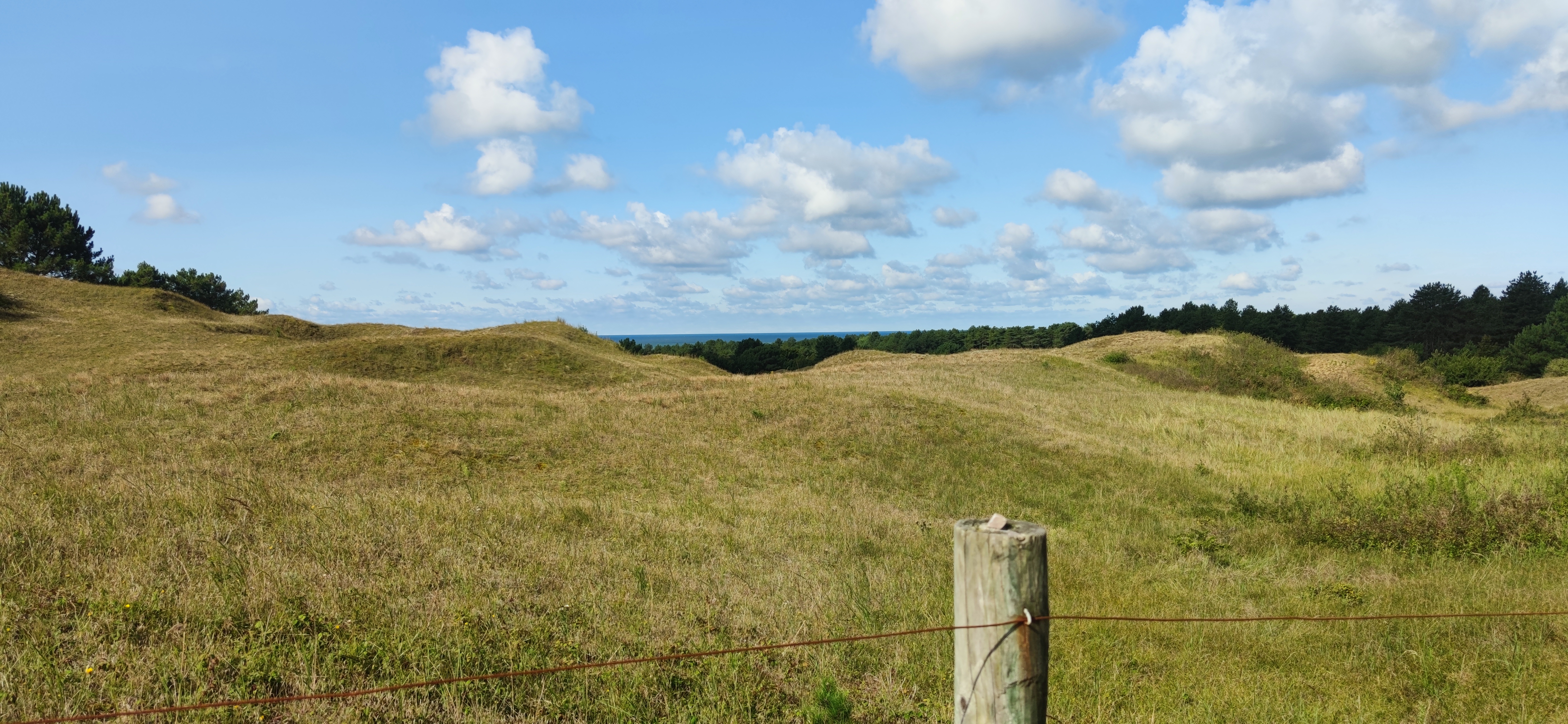 Photo n° 9 de l'avis de François.C fait le 17/09/2023 à 19:36
