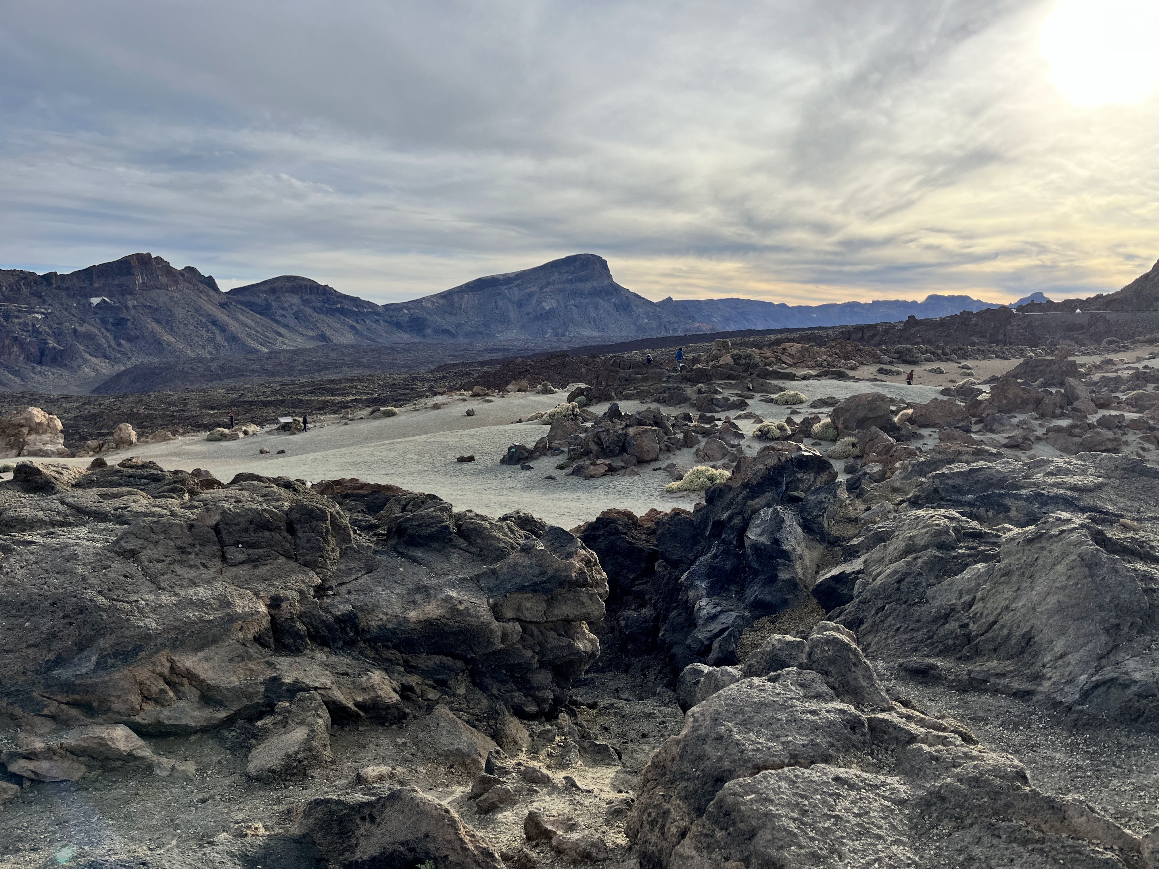 Photo n° 13 de l'avis de Marina.O fait le 10/01/2024 à 12:11