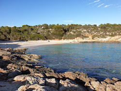 Foto av Cala Varques med något ren nivå av renlighet