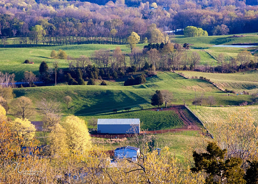 Winery «Cave Valley Winery», reviews and photos, 22850 Louisville Rd, Park City, KY 42160, USA