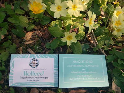 Hollved magnetiseur numérologue à Lannion