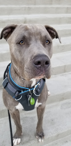 Park «Pulaski Park», reviews and photos, 3300 E Bayaud Ave, Denver, CO 80209, USA