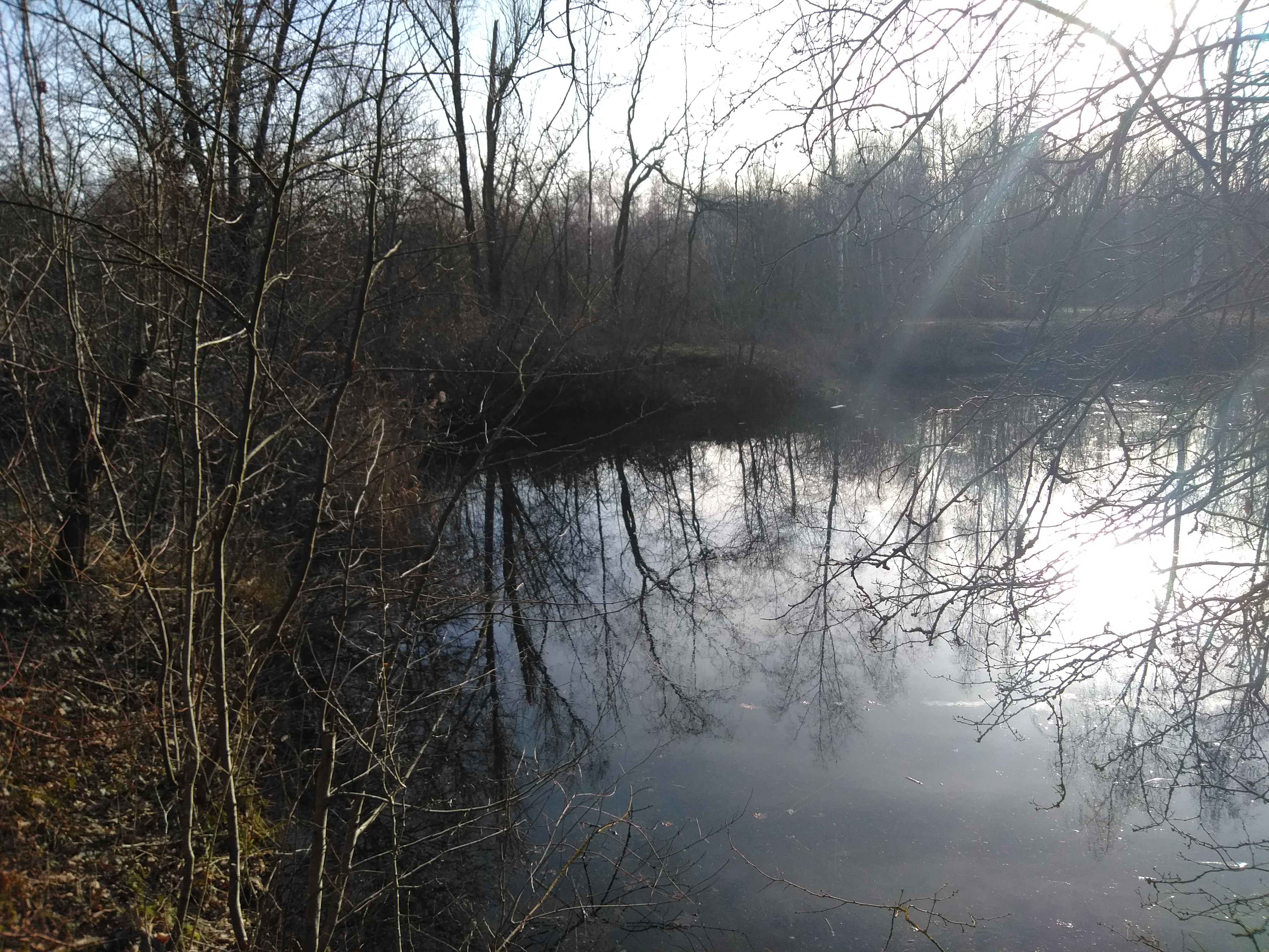 Photo n° 2 de l'avis de Christophe.h fait le 23/02/2021 à 17:37