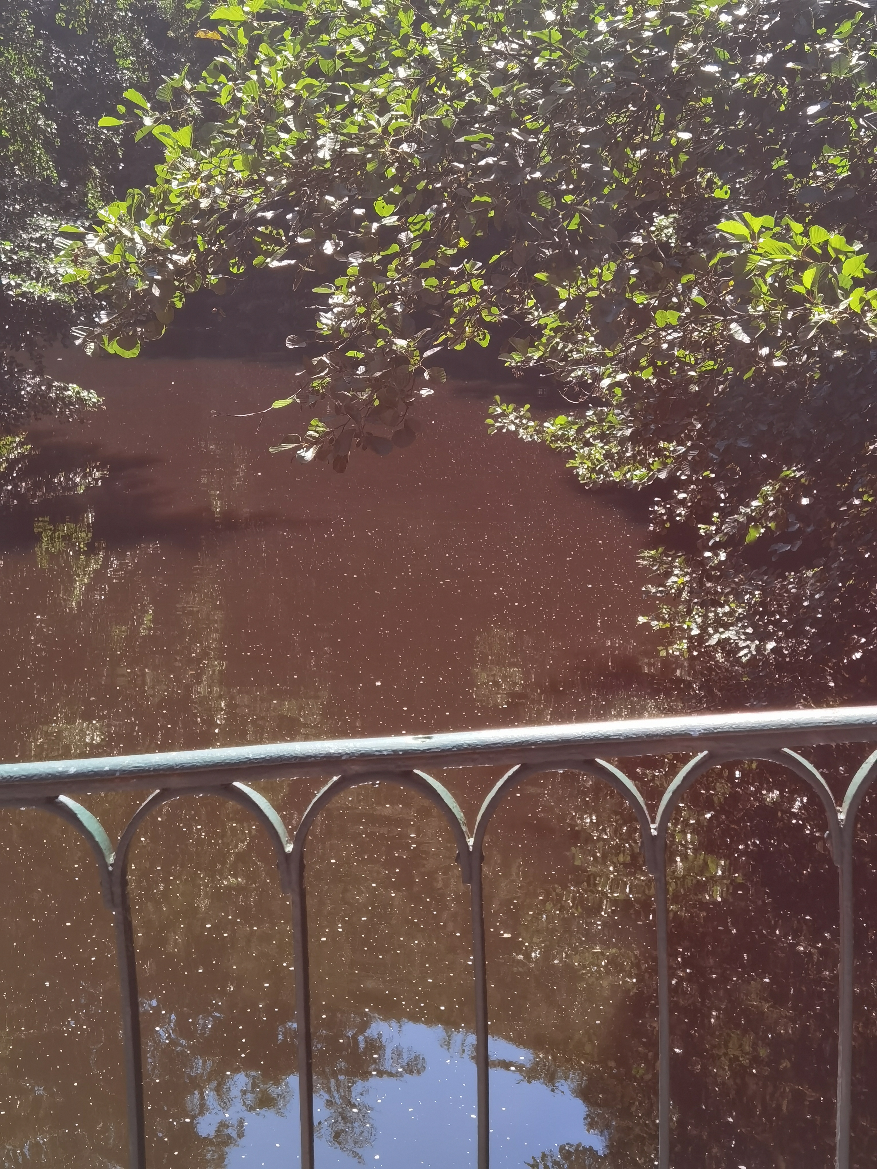 Photo n° 9 de l'avis de Corinne.a fait le 26/08/2021 à 18:17
