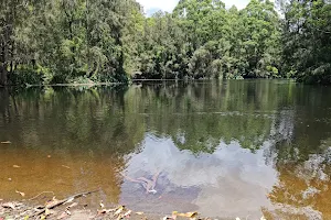 Lane Cove National Park Picnic Bookings image