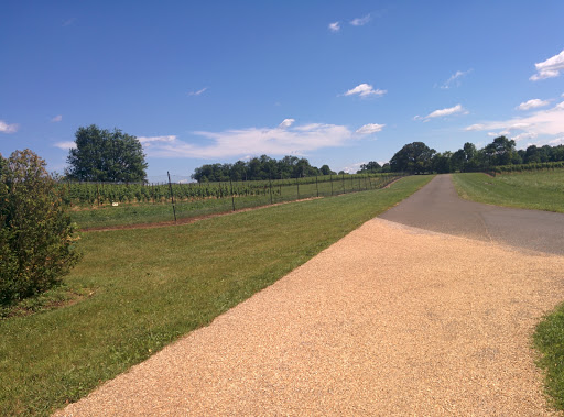 Winery «Boxwood Estate Winery», reviews and photos, 2042 Burrland Ln, Middleburg, VA 20117, USA