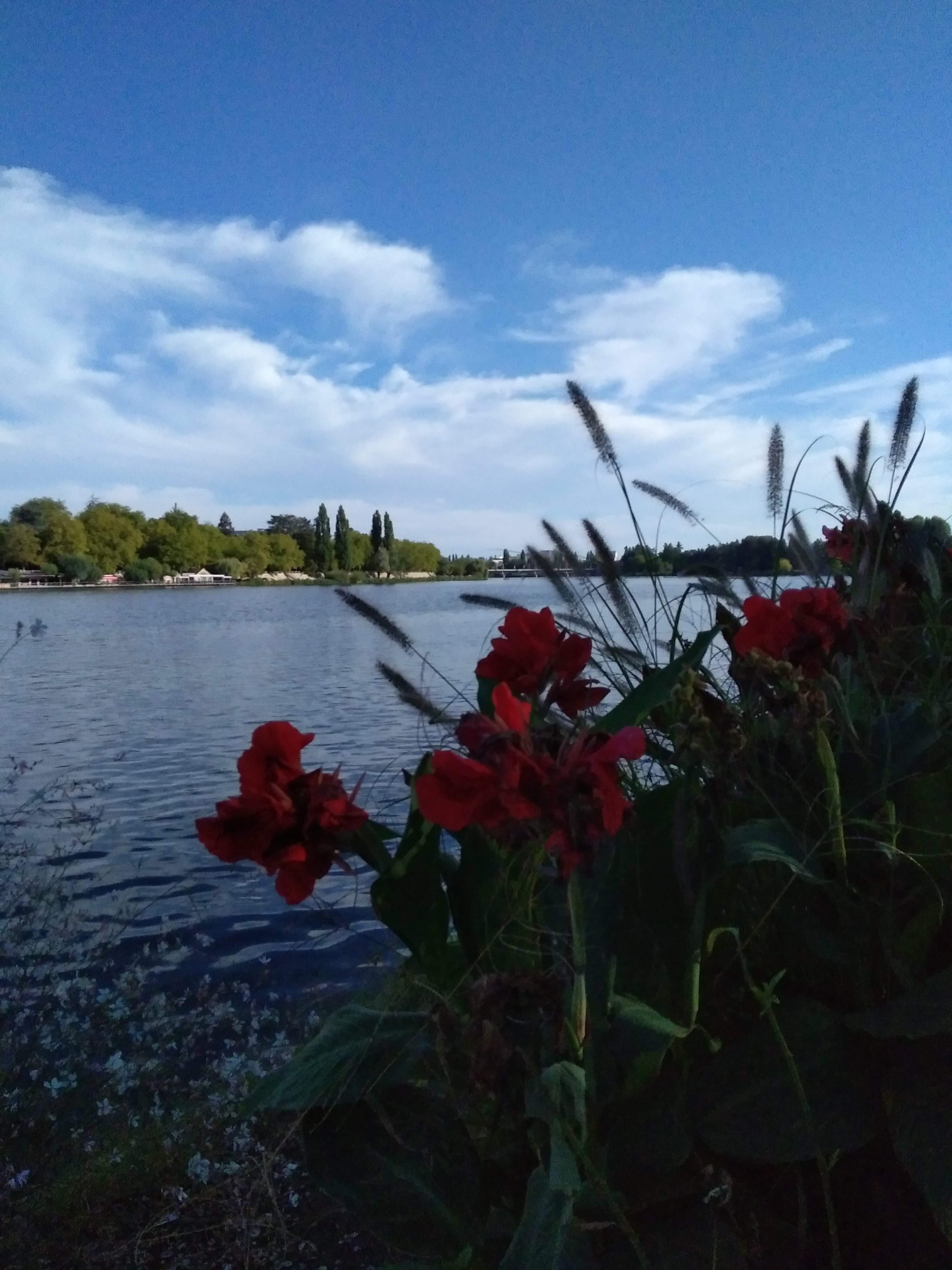 Photo n° 1 de l'avis de Gerard.o fait le 26/09/2018 à 20:33