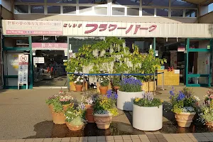 Ashikaga Flower Park image